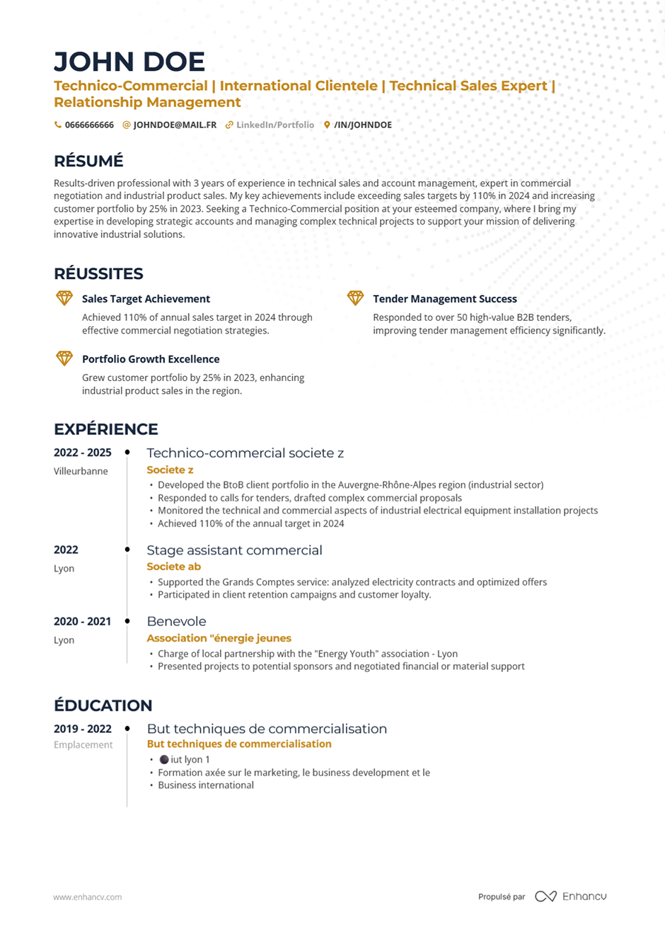 Enhancv importer CV